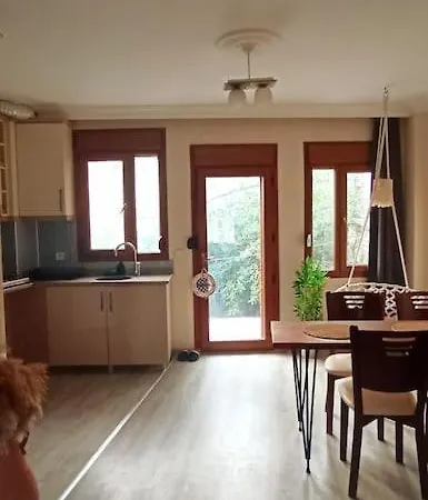 Apartment Deniz Manzarali Muestakil Ev Aybalik *