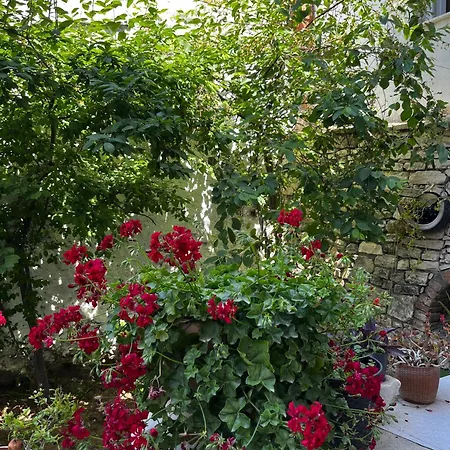 Apartment Deniz Manzarali Muestakil Ev Aybalik Ayvalı