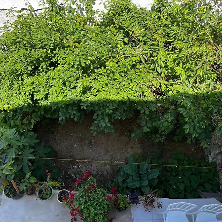 Deniz Manzarali Muestakil Ev Aybalik Apartment Ayvalı